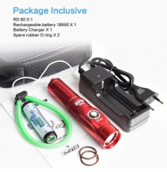 large TORCH SCUBALAMP RD80 BALIDIVESHOP 2